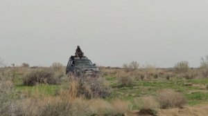Весенние грибы в южном Казахстане