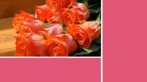 христианские поздравления с днем рождения