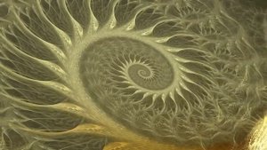 Уникальная практика "Небо эгрегоров". Посещение плана эгрегоров (Центр "Даария")