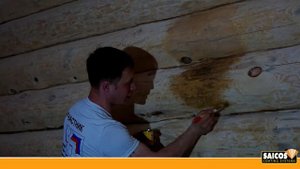 Как выбрать цвет для сруба внутри помещения?