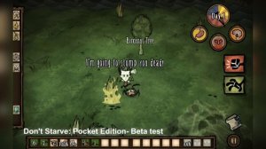 DON'T STARVE: POCKET EDITION - Лучшая выживалка на Android(Review)