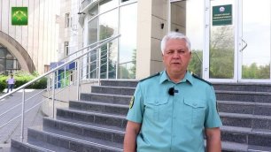 ЕЭС разрешил ввоз безвозмездной помощи в Донбасс без таможенного оформления