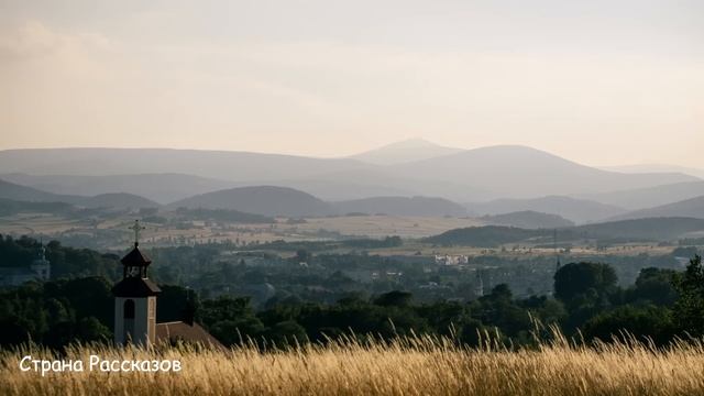 -Поживёт сама, будет шёлковая! - решил муж и пропал, а через неделю... смотреть онлайн
