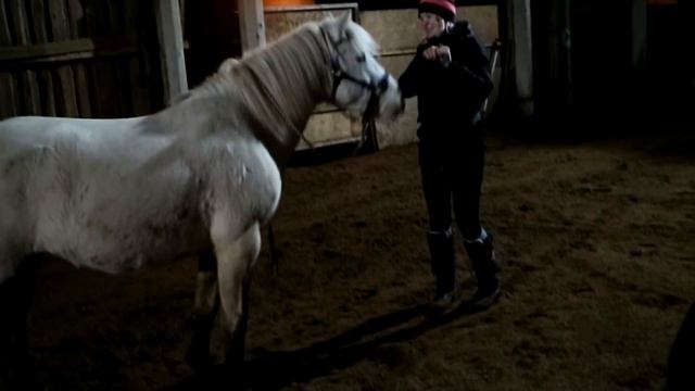 " Было, не было!! " + 600 подписчиков/ с Ами 1 год!! смотреть онлайн