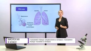 Биология. 8 класс. Газообмен между альвеолами и кровью. Газообмен между тканями и кровью