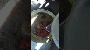 Каша для нутрий.