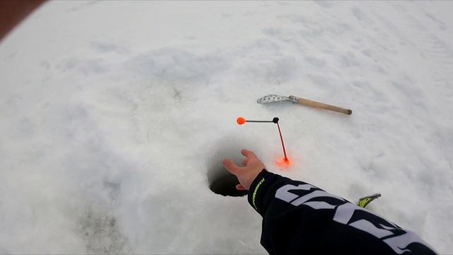 Гольцы рвут крюки. ЗНАТНЫЙ УЛОВ!!! смотреть онлайн