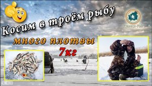 Рыбалка на р.Узе р-он Шемышейки. В троём в палатке косим плотву..mp4
