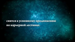 К чему снится белый котенок - Онлайн Сонник Эксперт