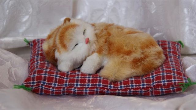 Мамин любимый котенок смотреть онлайн