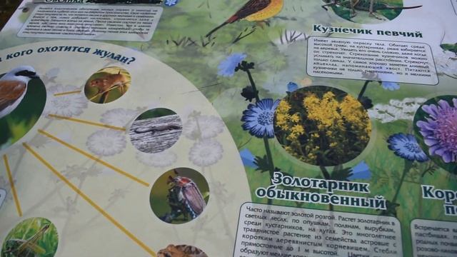 Экскурсия по экотропе