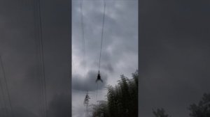 Московский Урбанистический форум 2023 в Лужниках. Канатная дорога. Zipline через Москву-реку