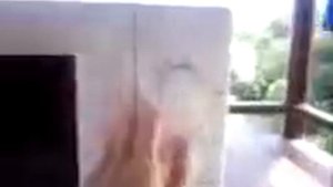 Samsung M1712NR микроволновая печь.3gp