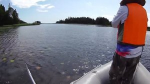 Поимка крупной щуки на спиннербейт в кувшинках