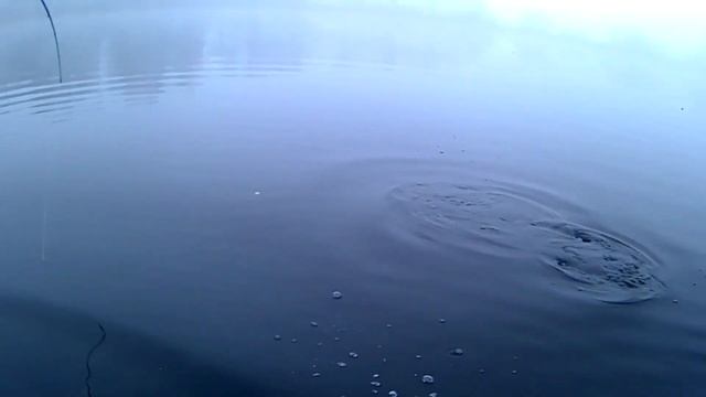 Я ее поймал. Хорошая щука. Рыбалка с физруком смотреть онлайн