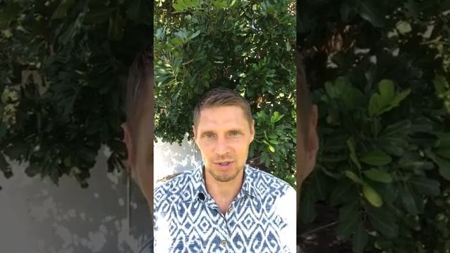 № 53 Любовь. Как найти и не потерять? Развод смотреть онлайн