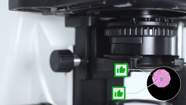 How to adjust the microscope illumination | by Motic Europe смотреть онлайн