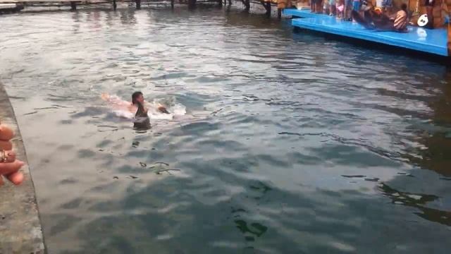 катание на дельфинах смотреть онлайн