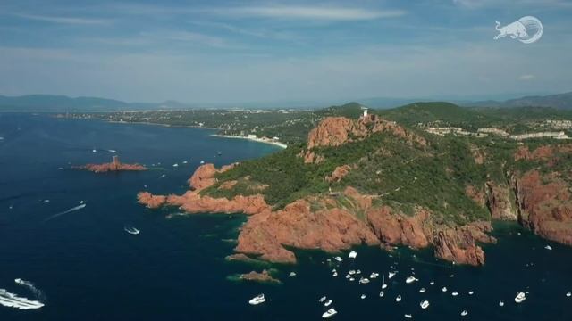 REPLAY | Red Bull Cliff Diving World Series 2021 | Saint-Raphaël, France