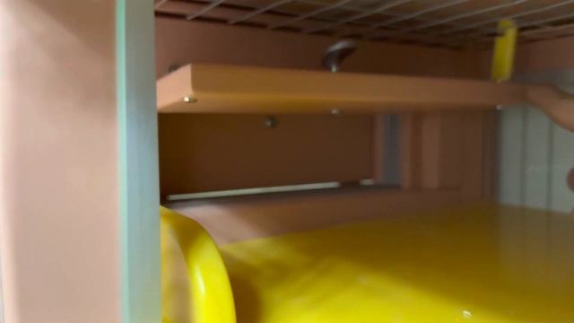 Эксклюзивный проект для крыс | встроенная витрина для крыс из камня | Мир Шиншилл смотреть онлайн