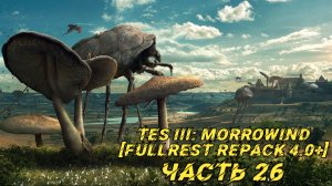 TES III Morrowind [Fullrest repack 4.0+] 📜#26. Соша, ловелас норд и Громобой