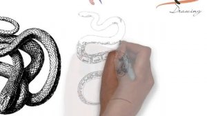 How to draw snake tattoo | Best Snake Tattoos images | Snake Tattoo Ideas That Are Perfect