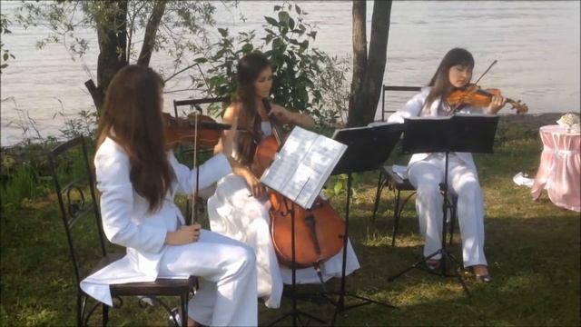 Свадьба в Серебряном бору, струнное трио