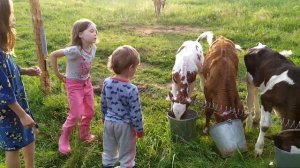 Электрогенератор в деревне необходим. Как начинается гроза. Дети под дождем.