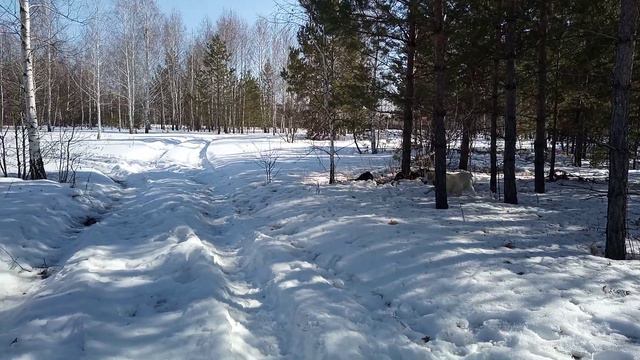 Начало новой эпохи на планете Земля смотреть онлайн