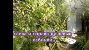 Отдых в Сочи. Поселок Головинка пансионат "Семейный". Июнь Август, 2014