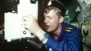 Гуляет красотка