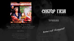 Сектор Газа - Трипак (кавер - Вячеслав Бондарев)