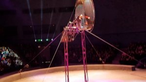 Владивостокский цирк