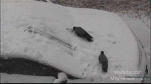 Комментарии иностранцев о России часть 25, Перевод  по следам таблетки для памяти