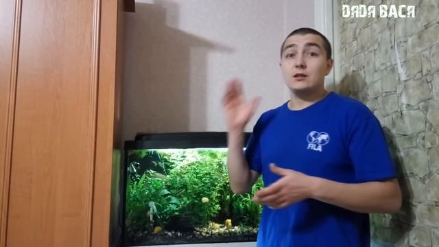 Красноухие черепахи аквариум! Мой опыт содержания!