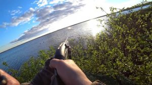 ОХОТА НА УТОК И ГУСЕЙ / DUCK AND GOOSE HUNTING