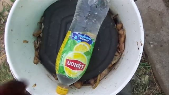 Червь старатель Владимирский, 1 часть. смотреть онлайн