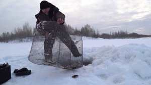 Супер способ быстрой ловли живца зимой без удочки.