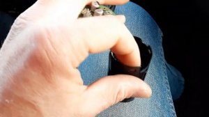 HONDA FIT 2016г. ошибка B12C5 (выскакивает перечёркнутый ключ на табло)