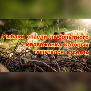 Как спасали медвеженка?! МАЛЕНЬКАЯ ИСТОРИЯ СПАСЕНИЯ СЧАСТЛИВЧИКА