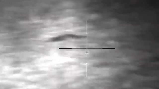 Охота на волка, ультра с невидимой подсветкой от Snipe. смотреть онлайн