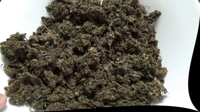 Ферментированный ЧАЙ из ТОПИНАМБУРА - ПАНАЦЕЯ ОТ ВСЕХ БОЛЕЗНЕЙ!!! / Fermented TEA from TOPINAMBUR смотреть онлайн