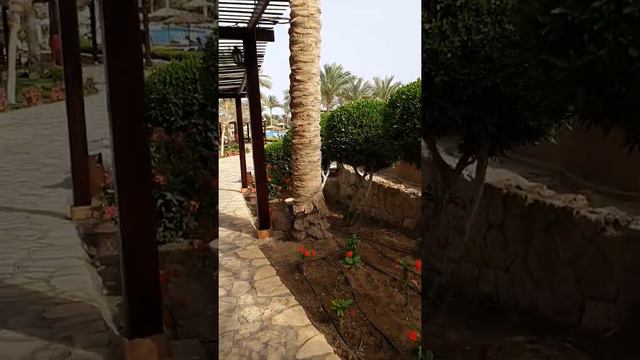 обзор Тамра смотреть онлайн