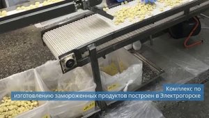 Scotsman представил новую серию льдогенераторов / Комплекс по изготовлению замороженных продуктов