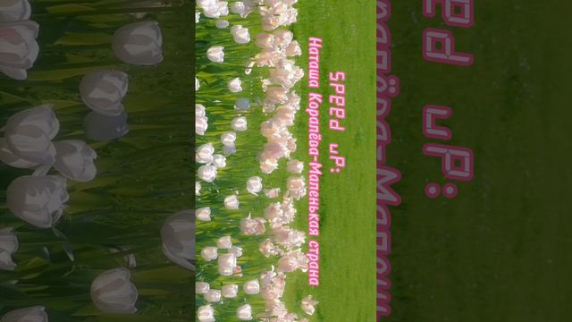 Speed up Наташа Коралёва - Маленькая страна💗 смотреть онлайн