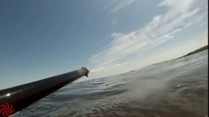 (CARP 5 kg). spearfishing for CARP : where's CARP ? (Сазан 5 кг).охота на Сазана :где сидит сазан?