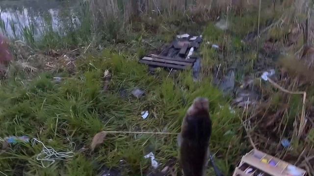 ПЕРВАЯ ВЕСЕННЯЯ РЫБАЛКА НА КАРАСЯ!ТОПКОЕ БОЛОТО ,ТРЯСИНА ,НО С УЛОВОМ!!!22.05.2023 г. смотреть онлайн