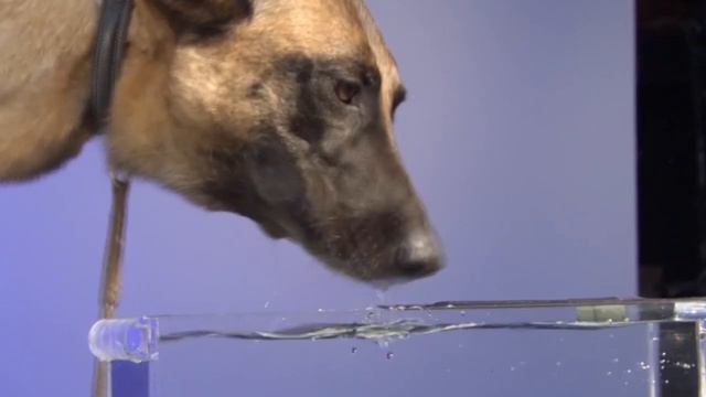 использованная вода смотреть онлайн