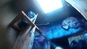 "КАК БОРОТЬСЯ С КЛОПАМИ"? Самостоятельно или Профессионально!? Секрет Биотрикс