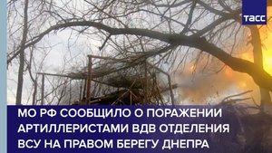 МО РФ сообщило о поражении артиллеристами ВДВ отделения ВСУ на правом берегу Днепра